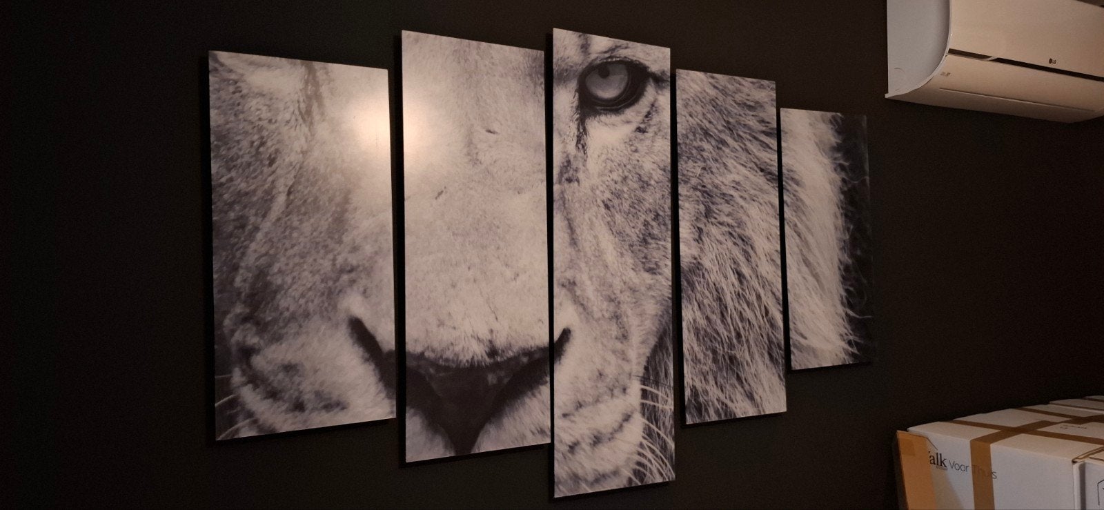 5-luik schilderij leeuw zwart/wit plexiglas mat 150x90cm, Antiek en Kunst, Ophalen