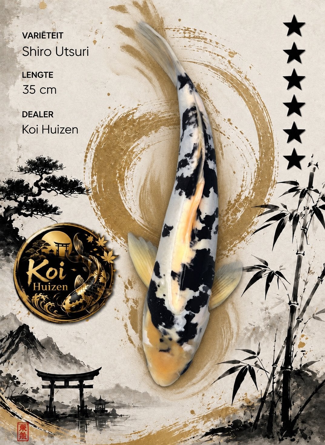 Shiro Utsuri koi 35cm, Karper of Koi