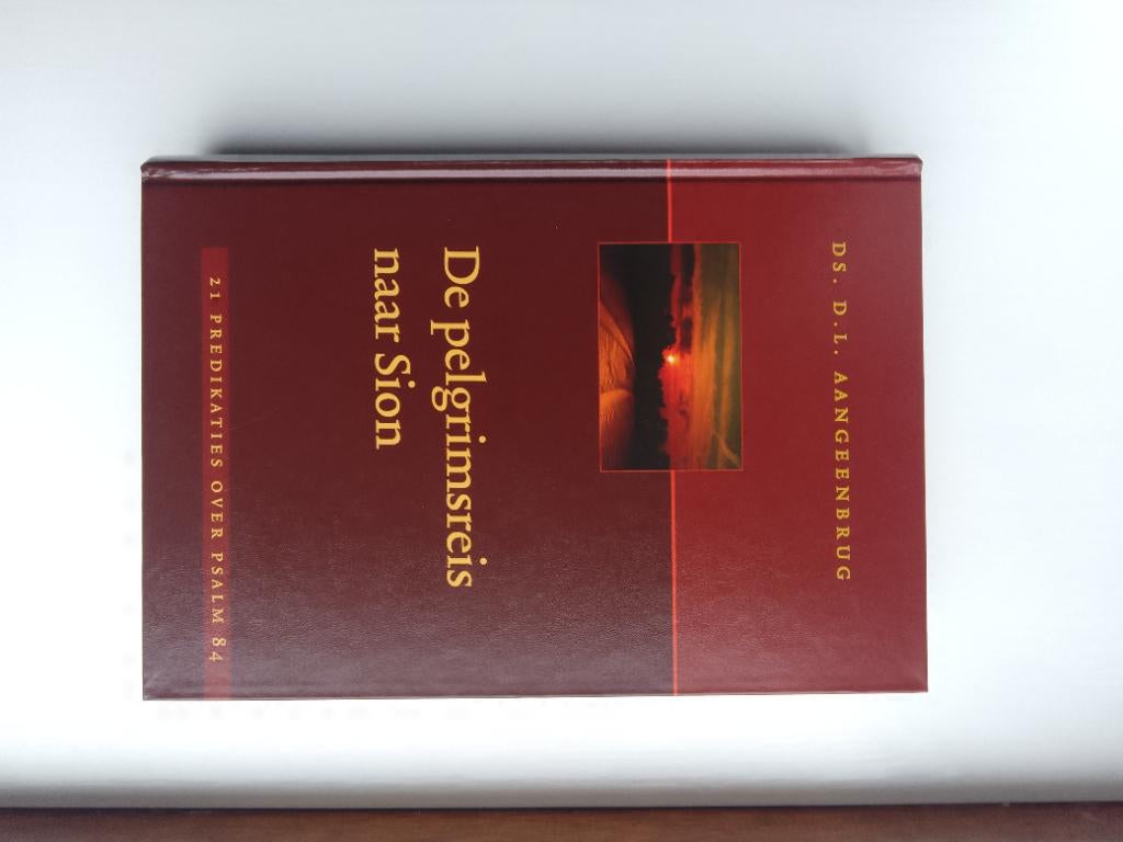 De pelgrimsreis naar Sion - ds. D.L. Aangeenbrug, Boeken, Godsdienst en Theologie, Zo goed als nieuw, Christendom | Protestants