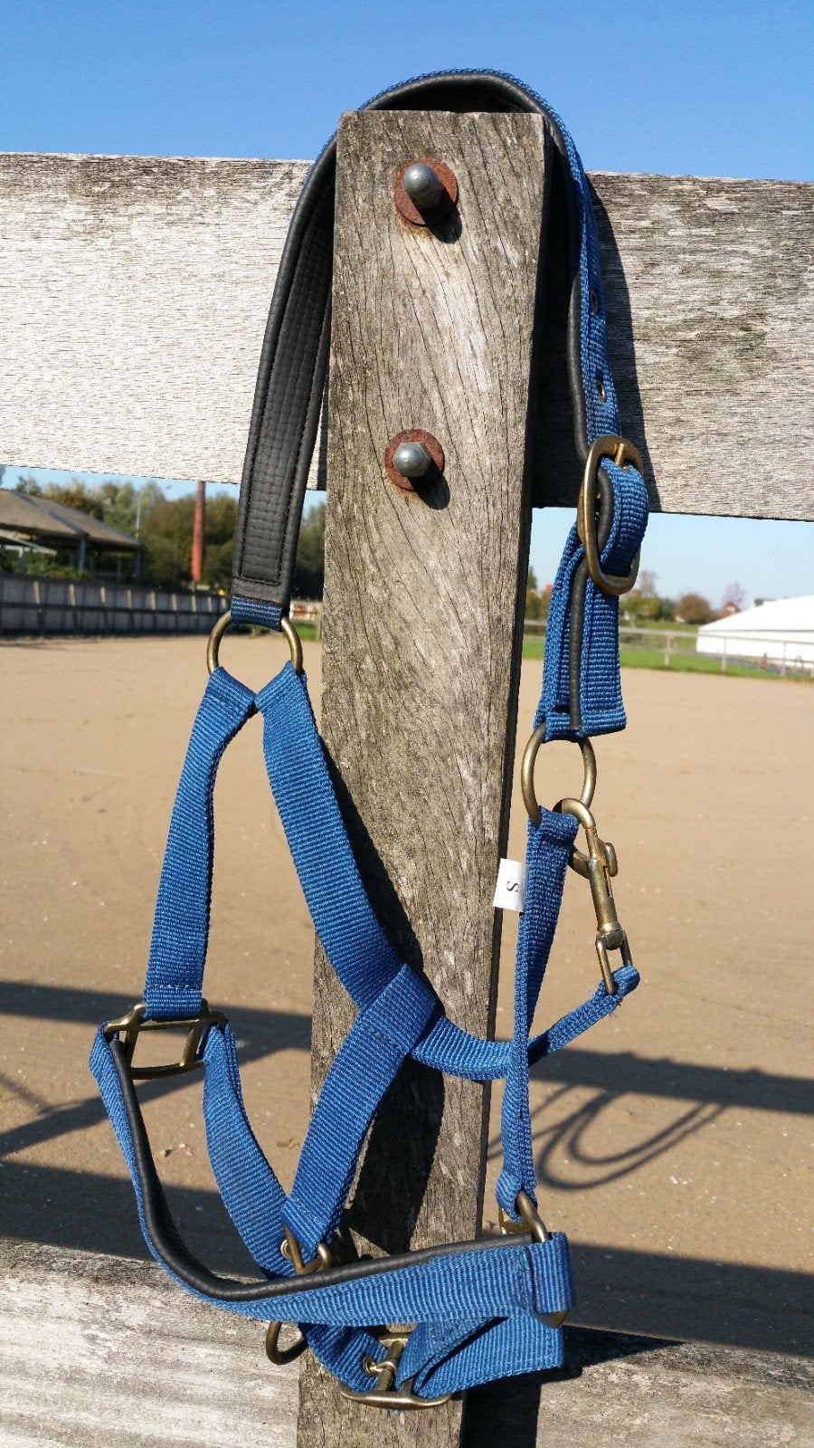 Blauw halster maat S, Ophalen, Gebruikt, Blauw, Halster