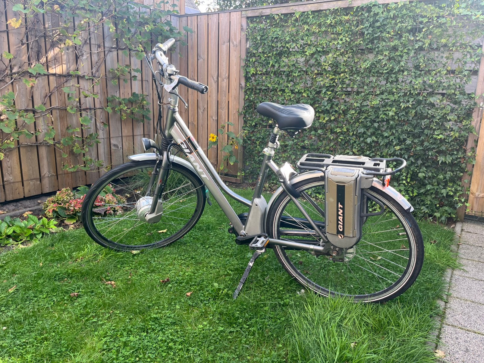 GIANT elektrische fiets 2 accu’s, Fietsen en Brommers, Ophalen, Gebruikt