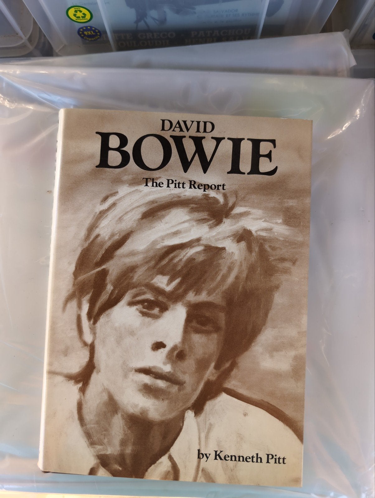 David Bowie: The Pitt Report - Boek door Kenneth Pitt, Ophalen of Verzenden, Gelezen, Artiest, Kenneth Pitt