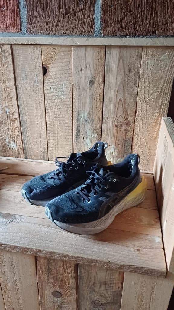 Asics hardloopschoenen maat 43, Gebruikt, Hardloopschoenen, Ophalen of Verzenden, Hardlopen
