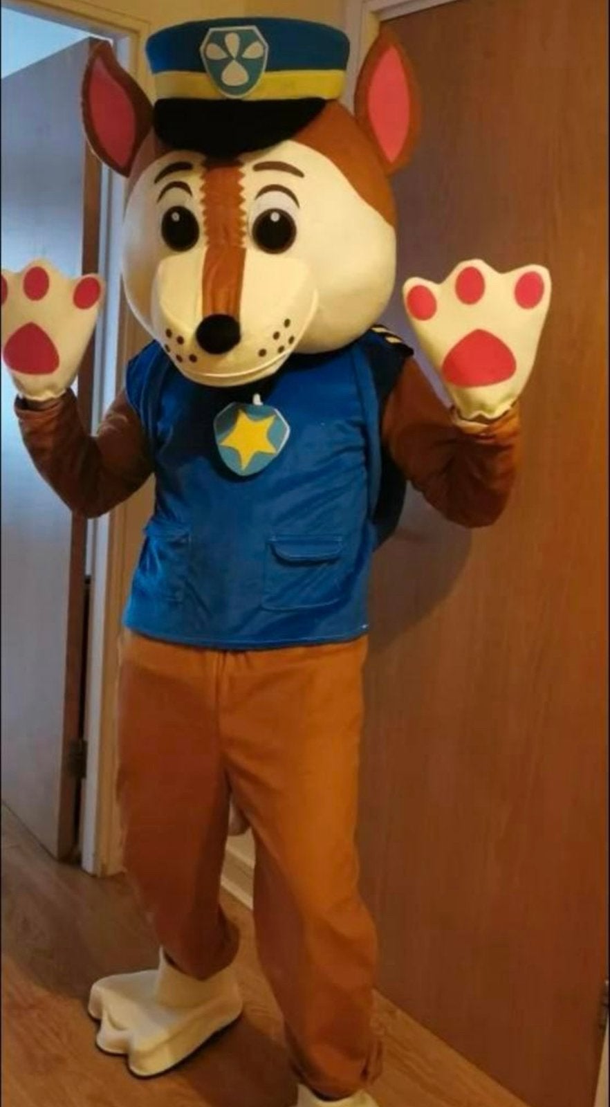 Paw Patrol €40,-, Ophalen, Zo goed als nieuw, Verjaardag