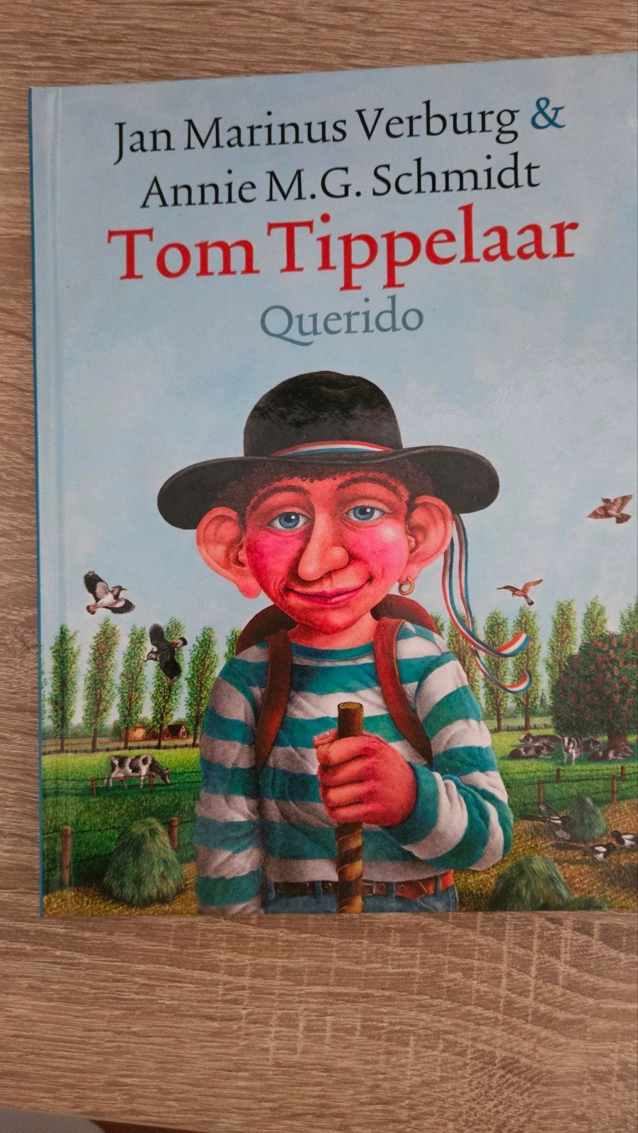 Tom Tippelaar - Jan Marinus Verburg & Annie M.G. Schmidt, Boeken, Ophalen of Verzenden, Zo goed als nieuw