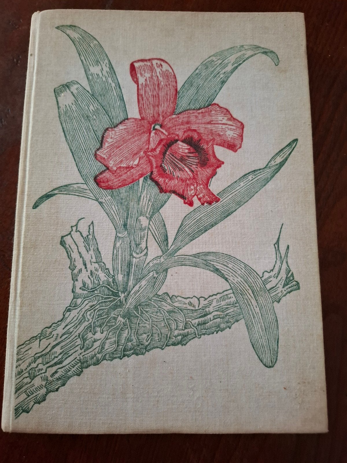 Orchideeën Verzorgen en Kweken., Bloemen, Planten en Bomen, Ophalen of Verzenden, Zo goed als nieuw, Walter Richter