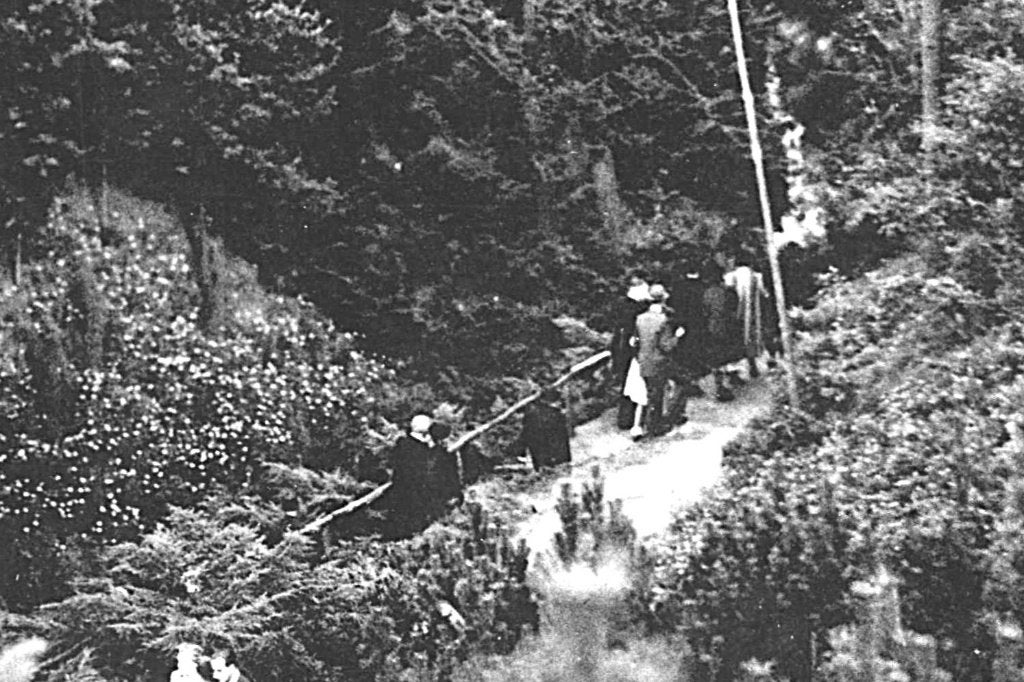 940505 Apeldoorn Berg en Bos 1949 Gelopen met Postzegel, Ophalen of Verzenden, 1940 tot 1960, Gelopen, Gelderland