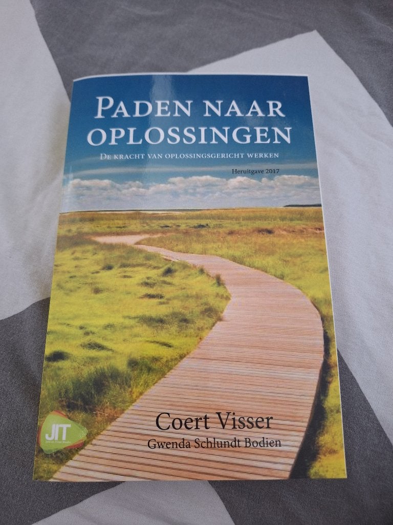 Paden naar oplossingen, Boeken, Ophalen of Verzenden, Zo goed als nieuw