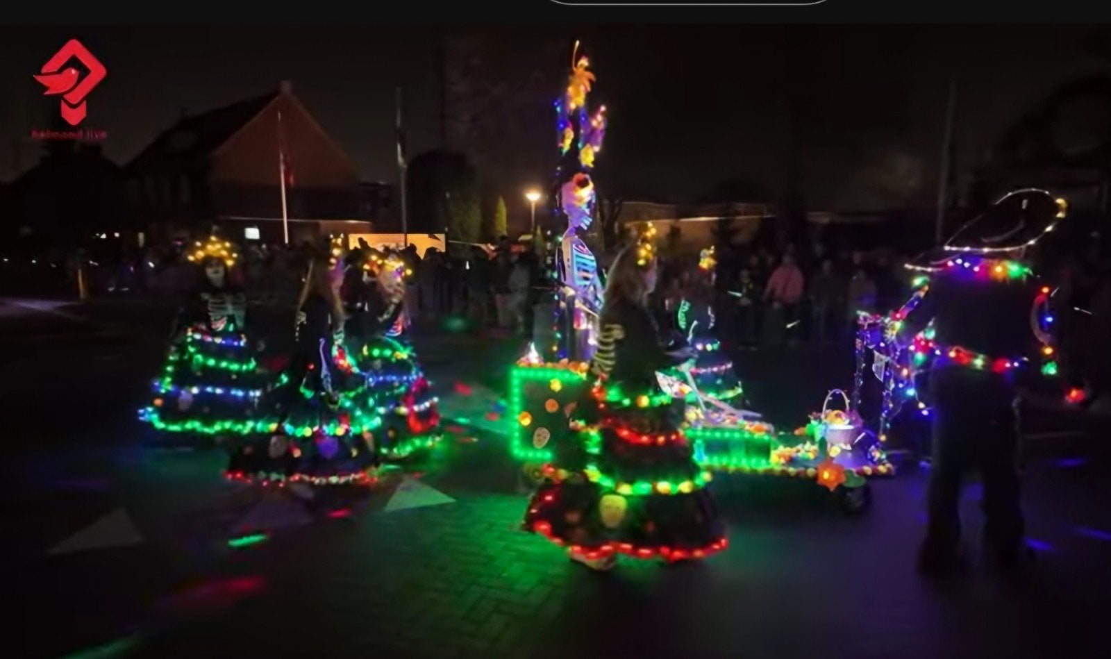 la muerte optocht thema voor 11 personen met kar, Ophalen, Zo goed als nieuw, Kostuum, Carnaval