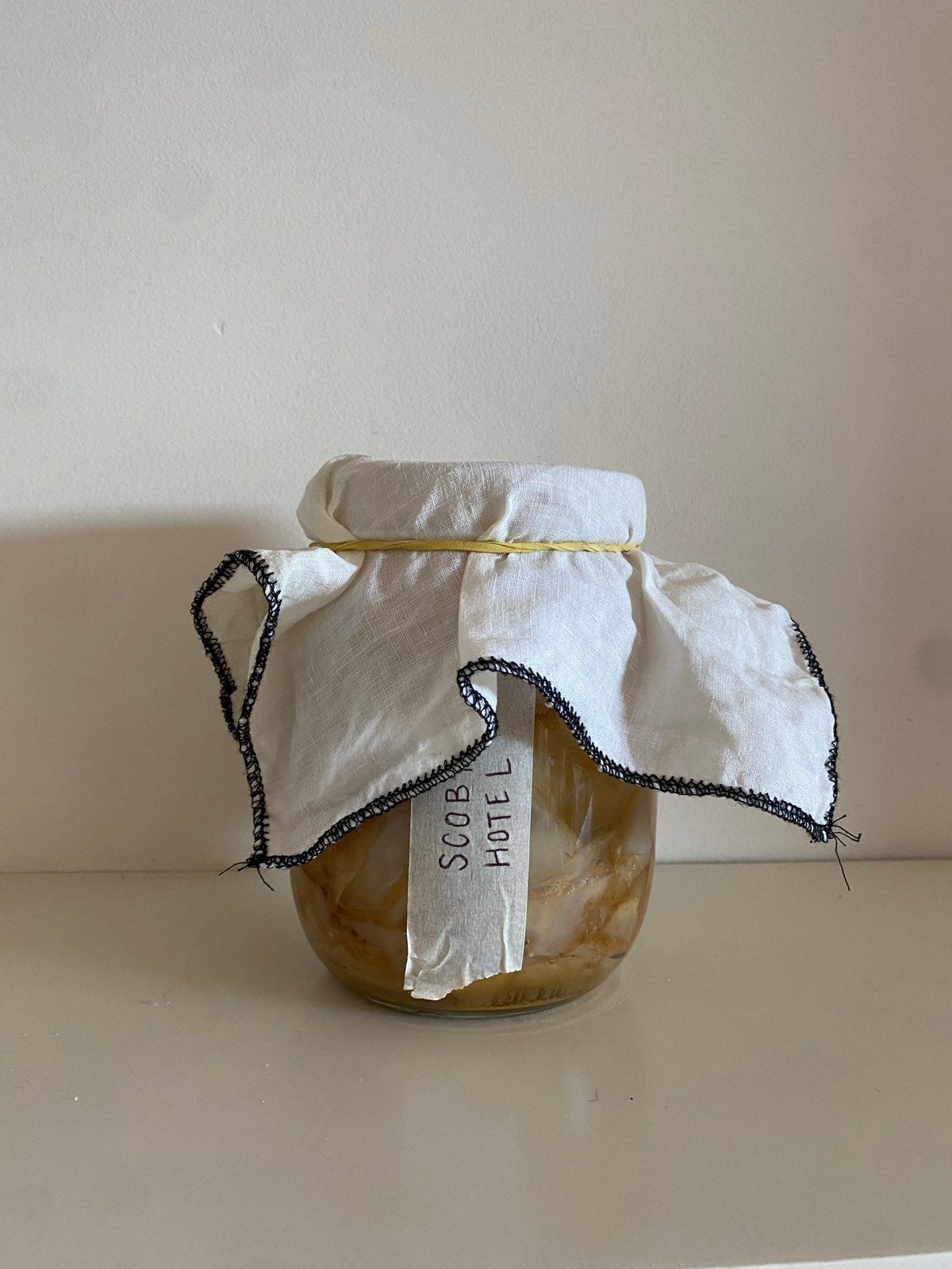 Healthy Happy Kombucha Scoby, Diversen, Levensmiddelen, Ophalen