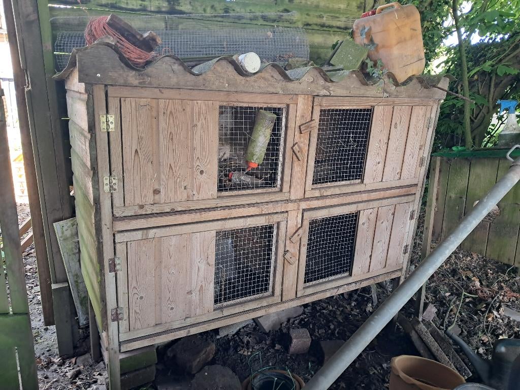 Konijnen flat, Dieren en Toebehoren, Ophalen, Gebruikt, 60 tot 90 cm, Minder dan 75 cm