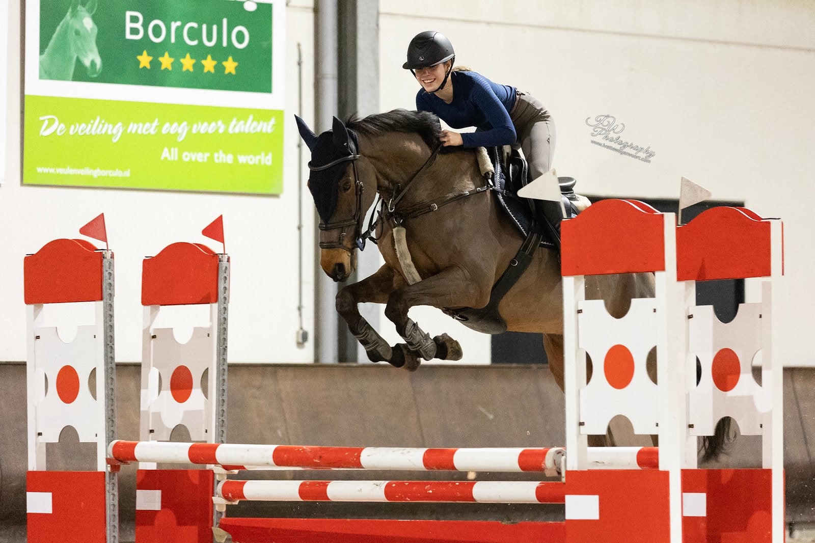 Leuke ruin met potentie voor de springsport, Springpaard, B, Ruin, 160 tot 165 cm