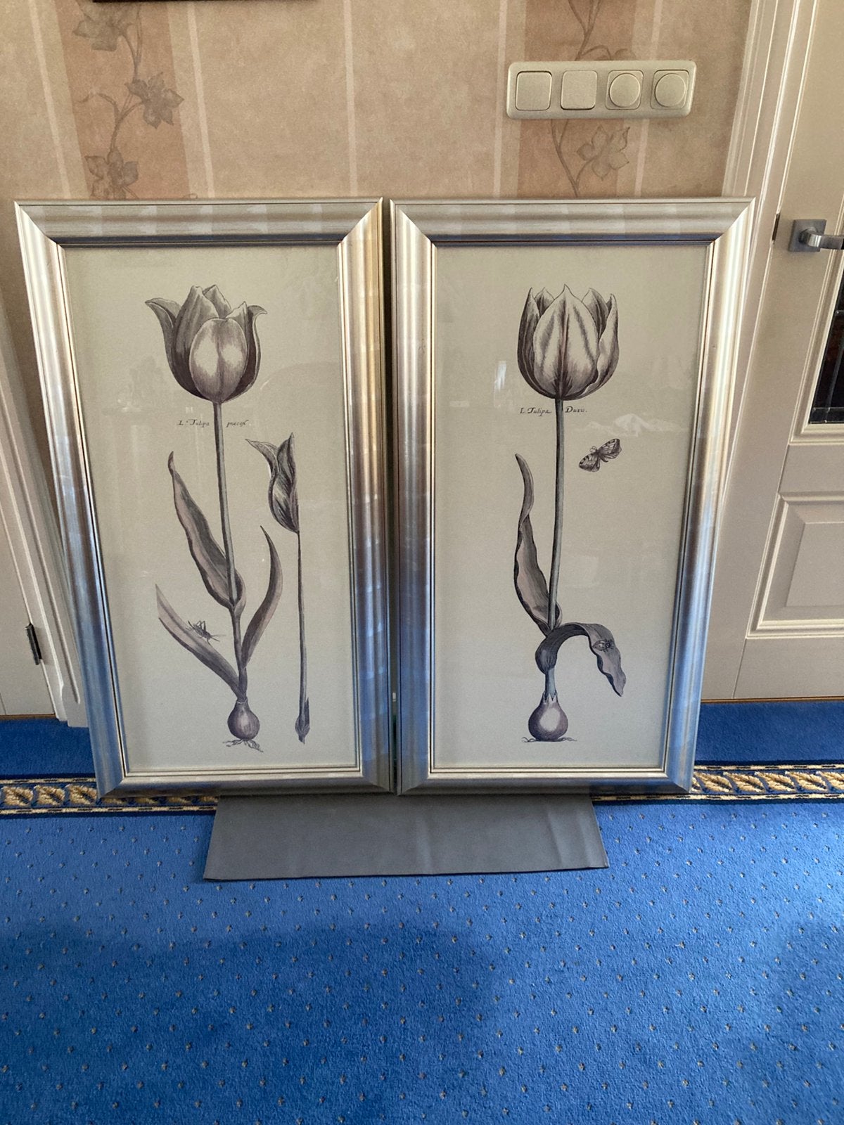 Duo etsen van tulpen, Antiek en Kunst, Kunst | Etsen en Gravures, Ophalen, 115 cm, 60 cm, 1950 - 1999