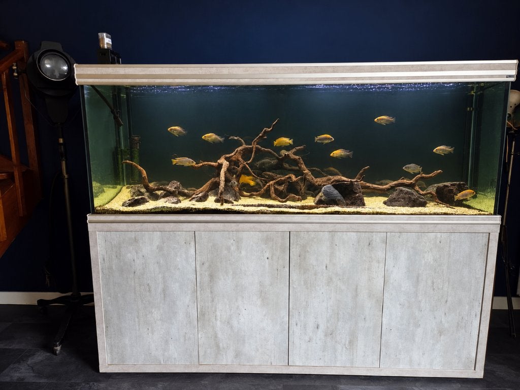 Aquarium te koop, Ophalen, Gebruikt, Aquatlantis, Gevuld zoetwateraquarium