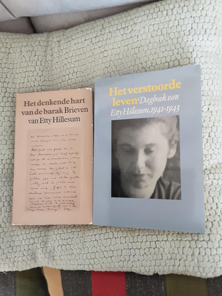 Etty Hillesum 2x, Boeken, Etty Hillesum, Ophalen of Verzenden, Landmacht, Tweede Wereldoorlog