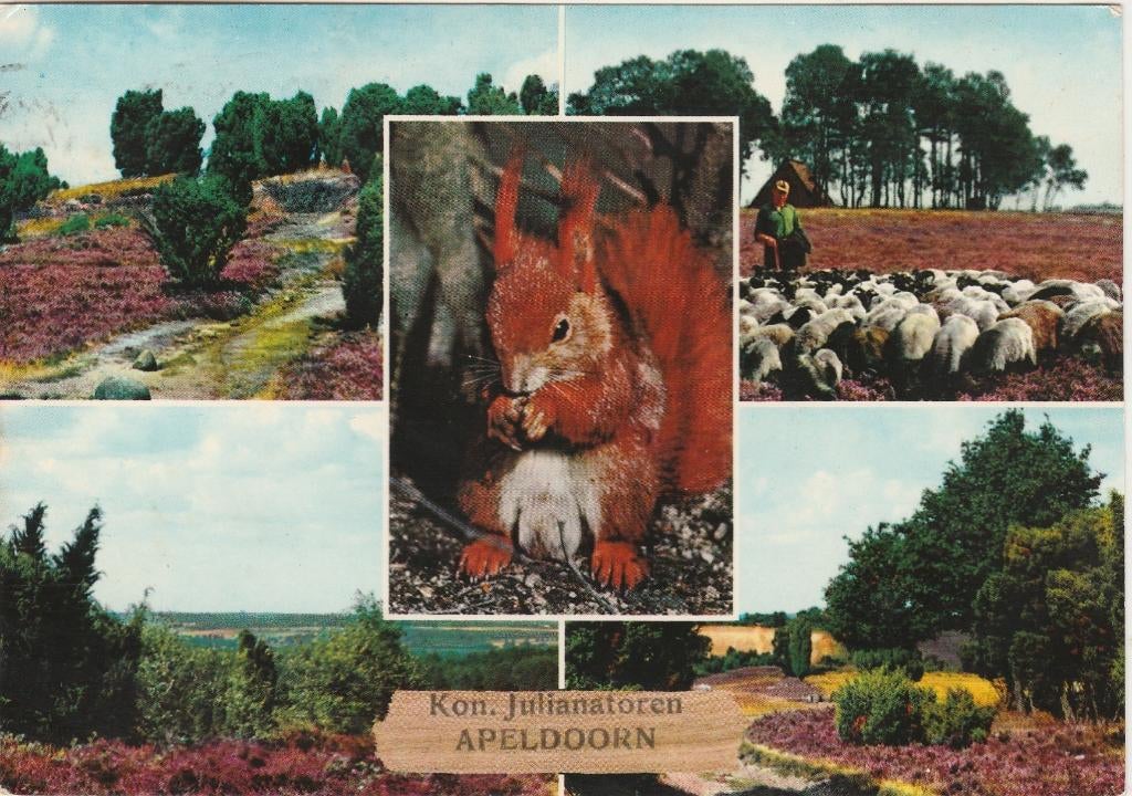 APELDOORN Koningin Julianatoren, Verzenden, 1960 tot 1980, Gelopen, Gelderland