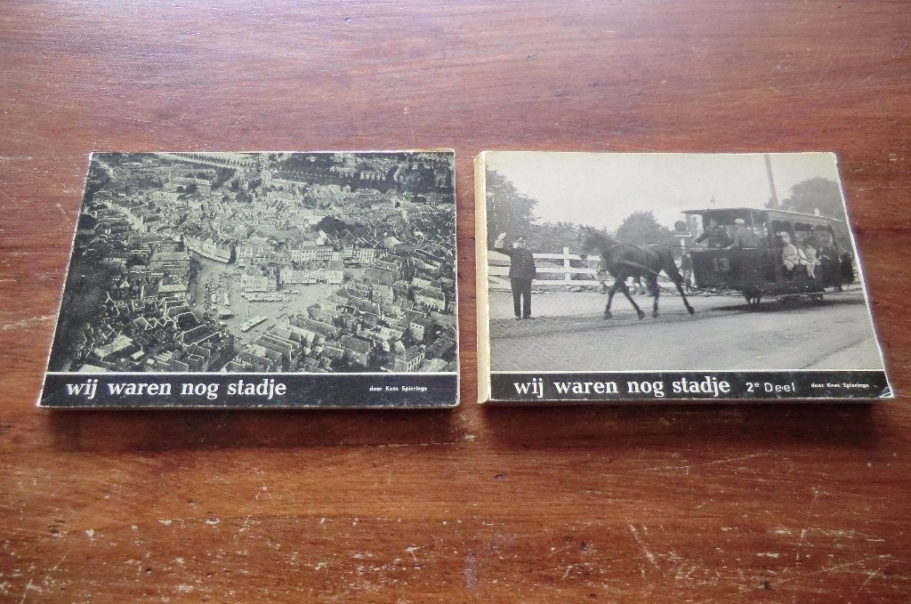 2 boekjes - wij waren nog stadje - deel 1 en 2 / Den Bosch, Boeken, Ophalen of Verzenden, 20e eeuw of later, Gelezen