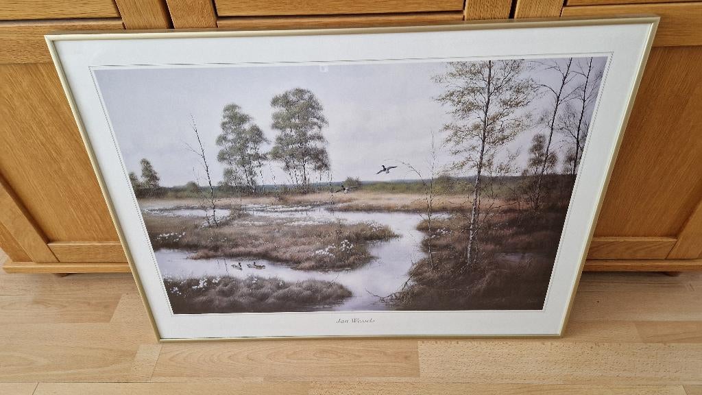 prachtig schilderij aquarel prent ? in lijst, 50 tot 75 cm, Ophalen of Verzenden, Zo goed als nieuw, Schilderij