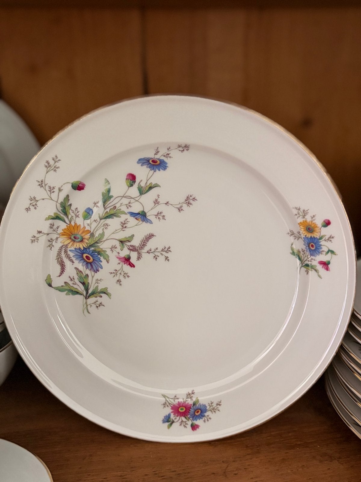 Rosenthal Helena servies - 45-delig, Ophalen