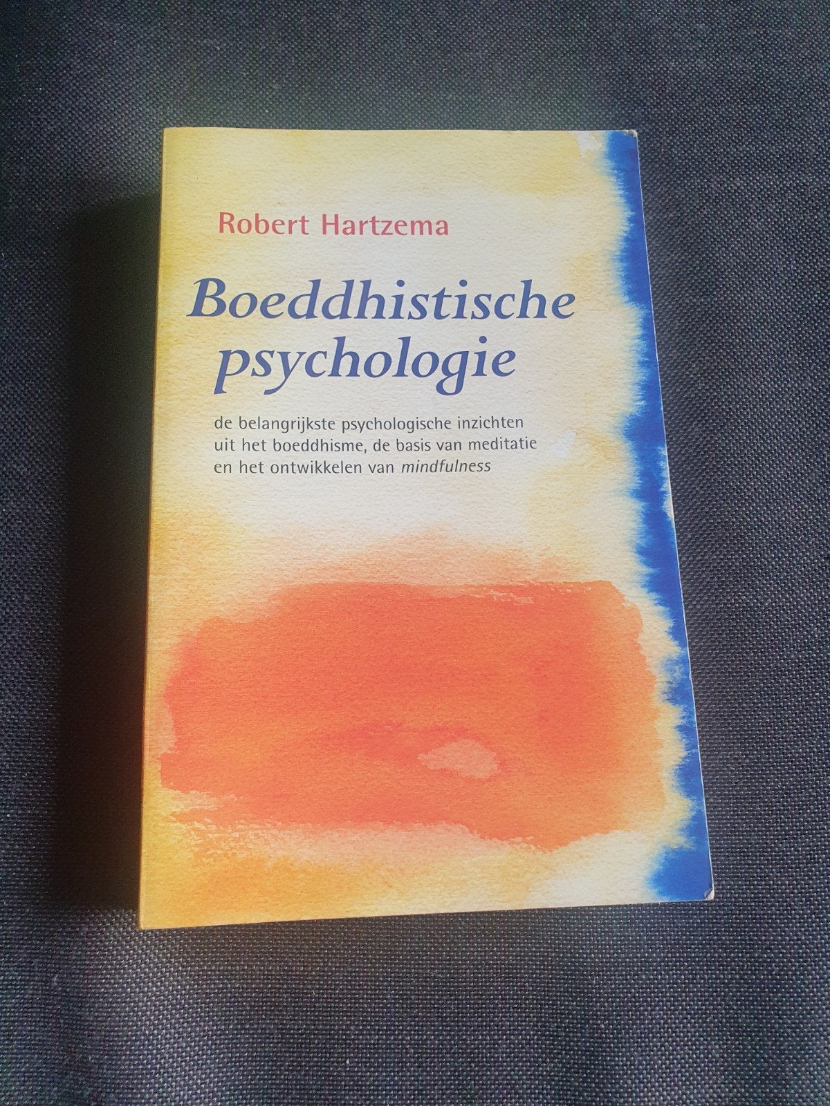 Boeddhistische psychologie - Robert Hartzema, Ophalen of Verzenden, Zo goed als nieuw, Overige onderwerpen, Robert Hartzema