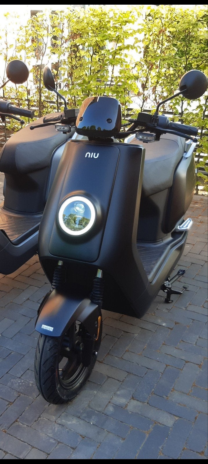 Niu N1S Elektrische scooter, Nieuwstaat +- 550 km!!, Fietsen en Brommers, Scooters | Overige merken, Ophalen, Elektrisch, Zo goed als nieuw