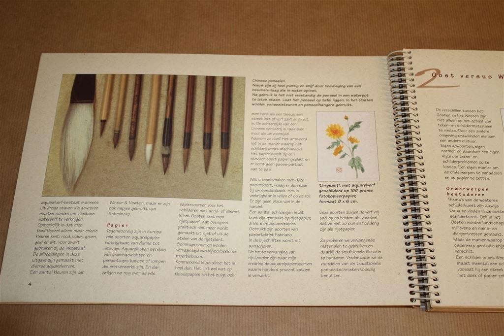 Aquarelleren in oosterse stijl. Bamboe, bloesems en bloemen., Boeken, Ophalen of Verzenden, Gelezen