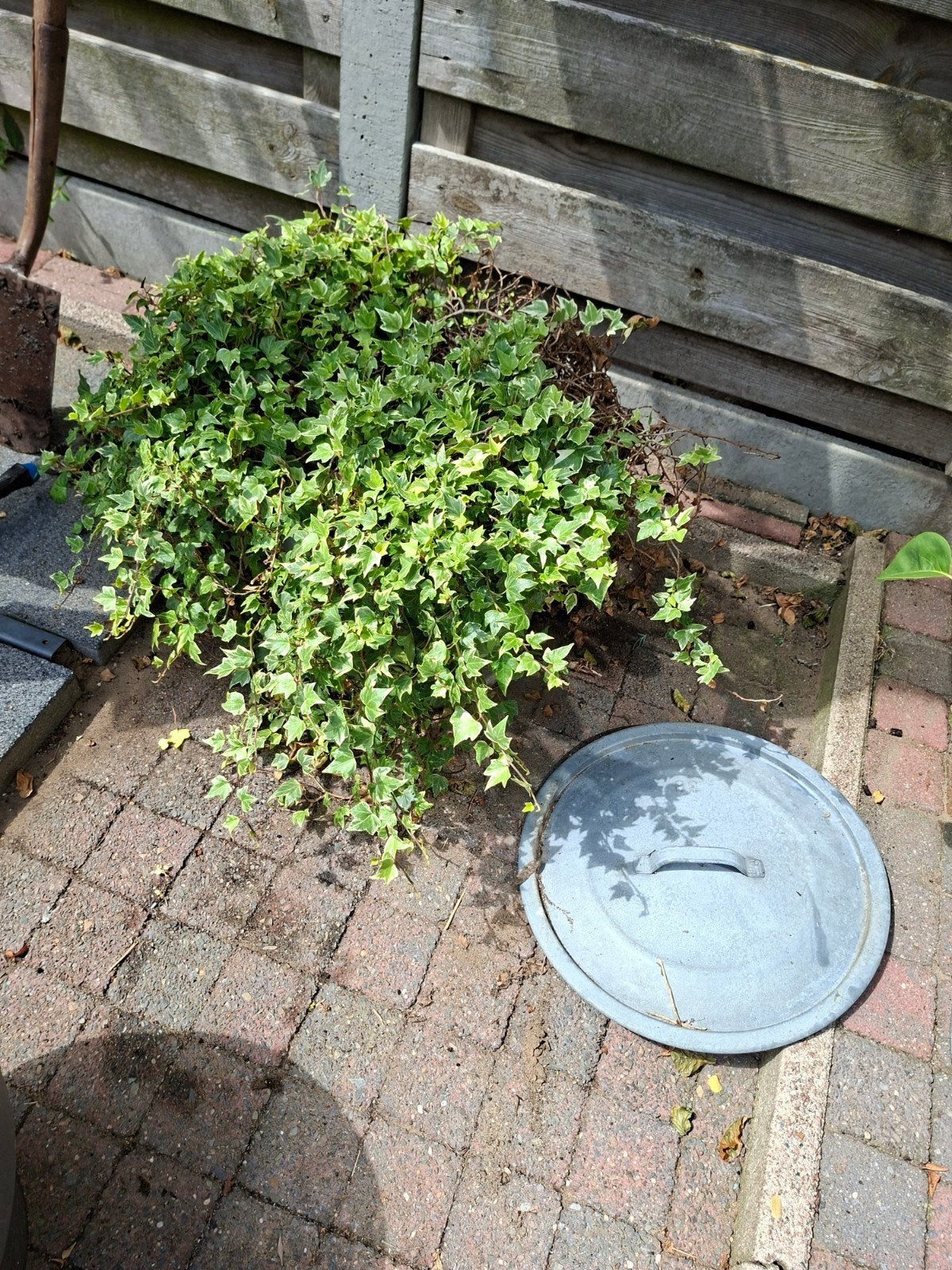 Grote zinken emmer/plantenbak 38 liter met deksel, Ophalen, Vintage, Gebruikt, Metaal