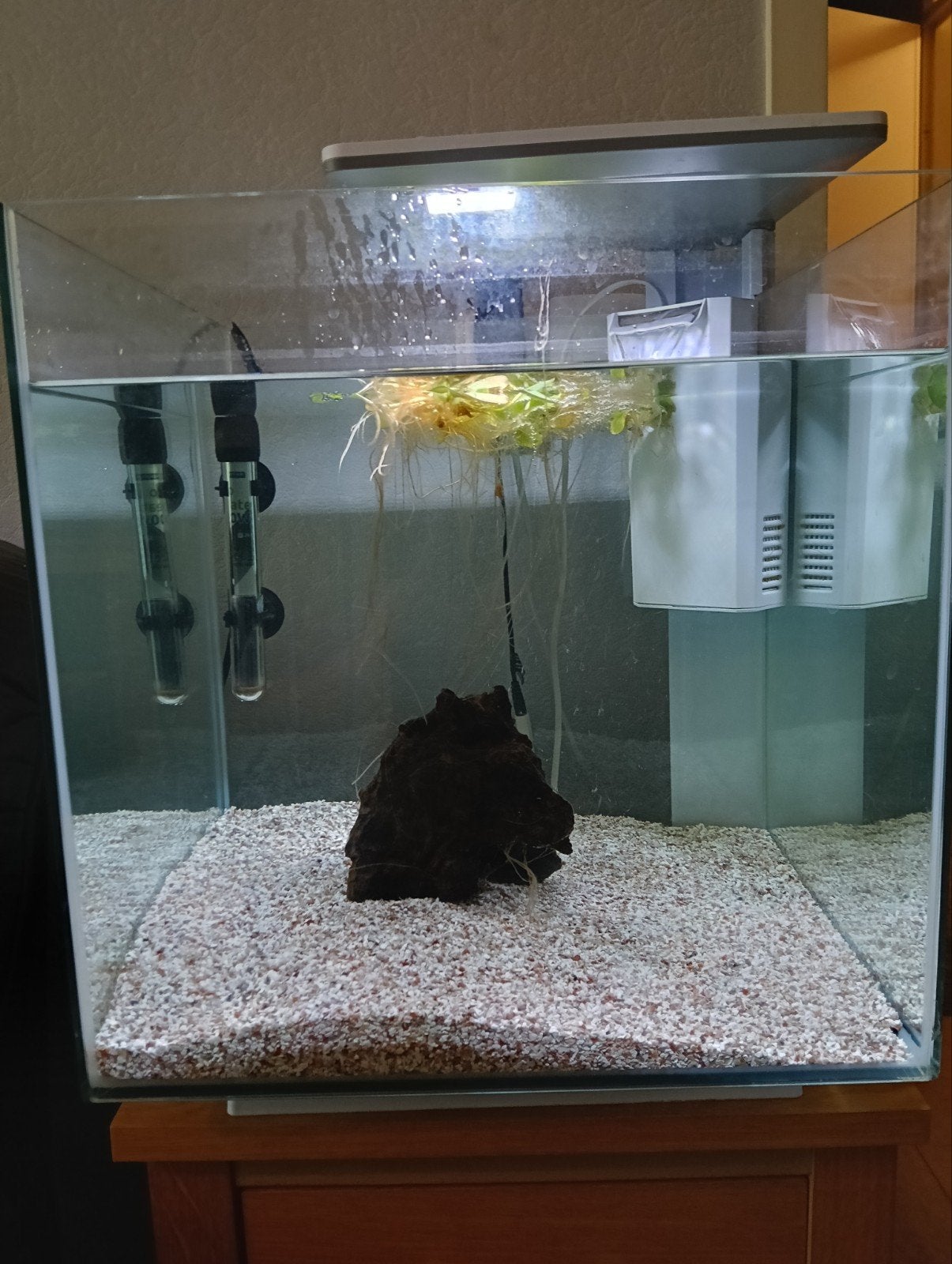 superfish qube 60 pro, Ophalen, Zo goed als nieuw, Leeg aquarium
