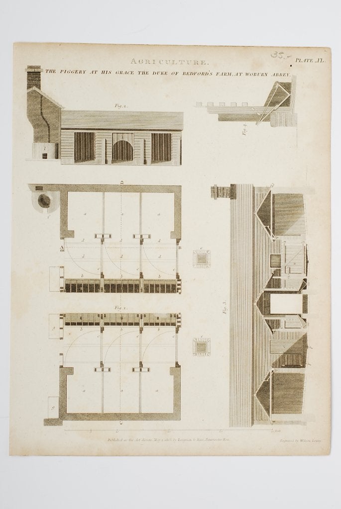 De varkensstal agricultuur - Antieke illustratie 19e eeuw, Verzamelen, Ophalen of Verzenden, Voor 1940, Gebruikt, Overige onderwerpen