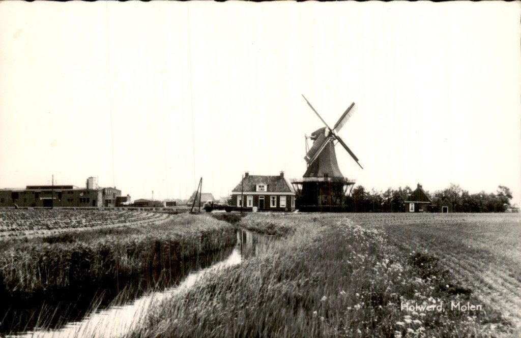 Holwerd - Molen - Gezicht, Ophalen of Verzenden, 1940 tot 1960, Gelopen, Friesland