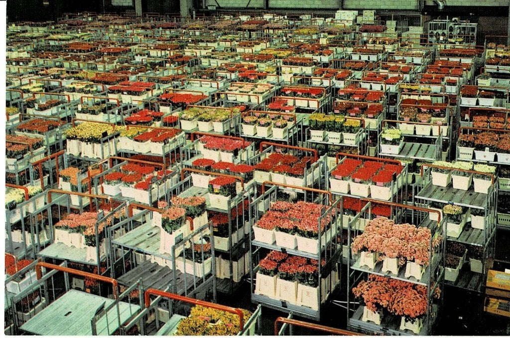 Aalsmeer,  World Flower Centre, Ophalen of Verzenden, 1980 tot heden, Ongelopen, Noord-Holland