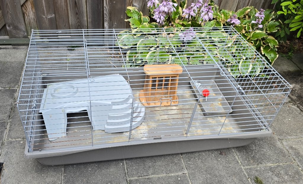 Cavia/konijnenkooi 120cm, Kooi, Cavia, Ophalen, Minder dan 60 cm