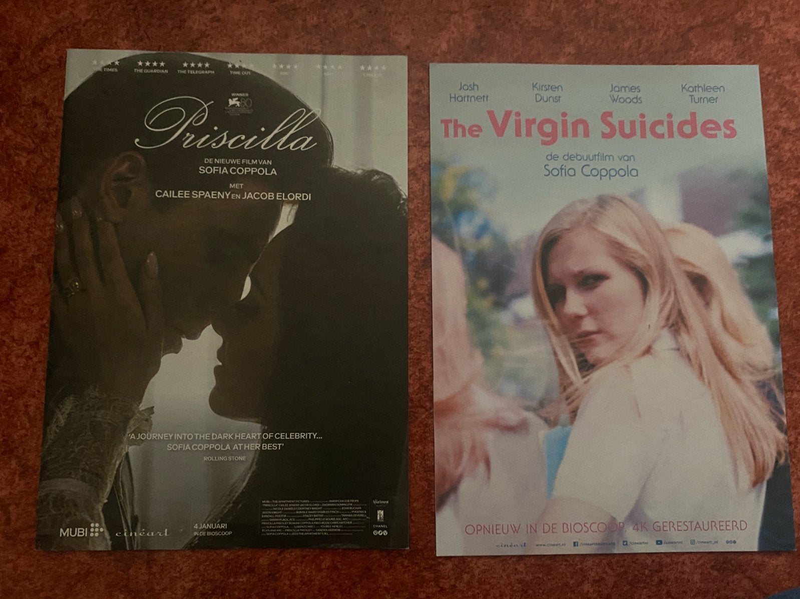 Sofia Coppola poster Priscilla & The Virgin Suicides, Ophalen of Verzenden, Zo goed als nieuw