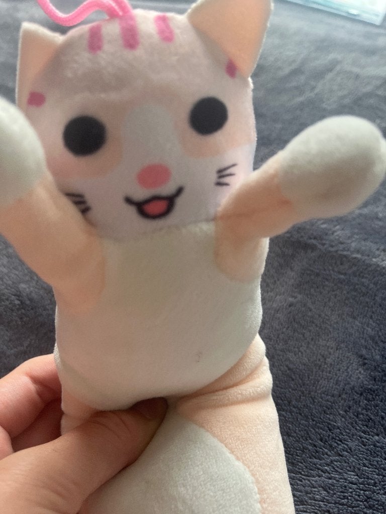 Knuffel cat, Ophalen of Verzenden, Zo goed als nieuw