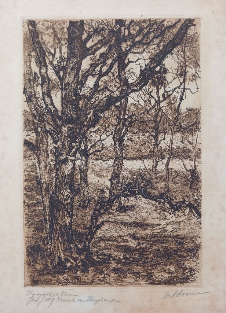 Ets bomen landschap gesigneerd D Stoomen o.i.d. / schade, Verzenden, Flora en Fauna, Ets, Blanco verso