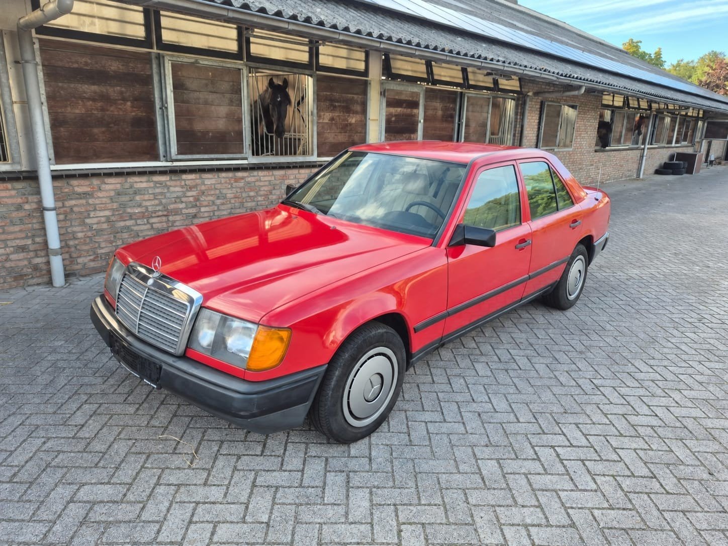 Mercedes W124 250D Diesel 1986 Signalrot  belastingvr, Auto's, 2500 cc, Achterwielaandrijving, Beige, Particulier