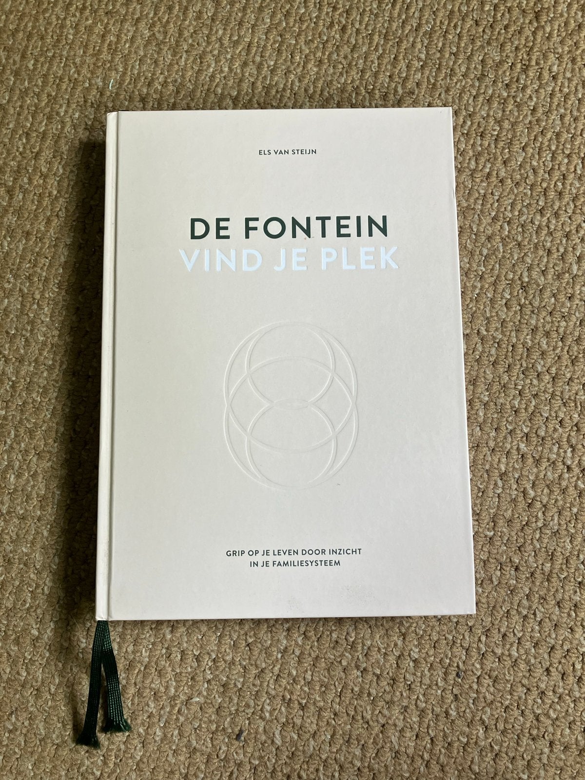 De Fontein: Vind je plek - Els van Steijn nieuw, Boeken, Psychologie, Nieuw, Overige onderwerpen, Ophalen of Verzenden