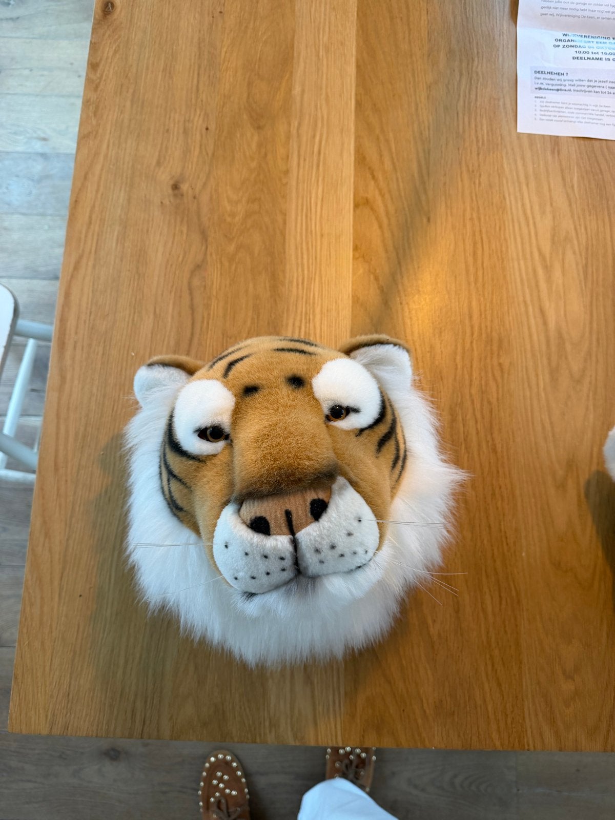 Leuke tijger dierenkop voor aan de muur, Oranje, Ophalen of Verzenden, Zo goed als nieuw, Middelgroot (20 tot 80 cm)