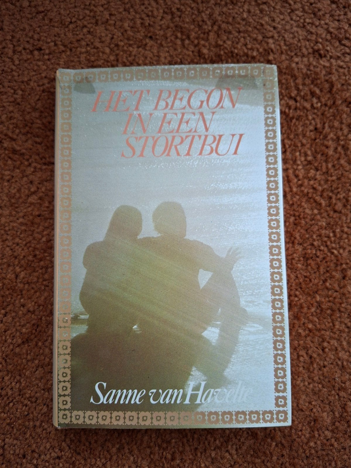 Het begon in een stortbui - Sanne van Havelte, Ophalen of Verzenden, Gelezen, Sanne van Havelte, Nederland