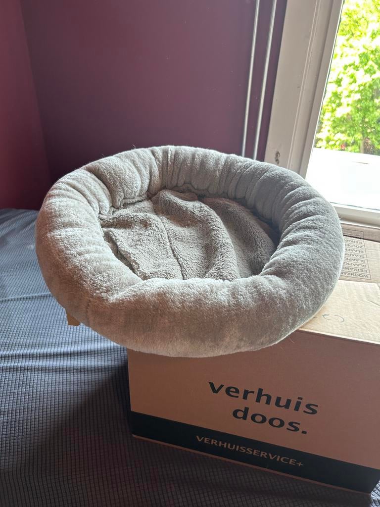 Katten klimplanken en manden, Dieren en Toebehoren, Ophalen, Zo goed als nieuw