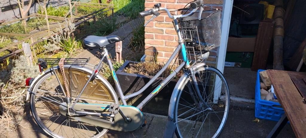 Raleigh Damesfiets - Comfortabel en compleet, Fietsen en Brommers, Fietsen | Dames | Damesfietsen, 53 tot 56 cm, Ophalen, Gebruikt