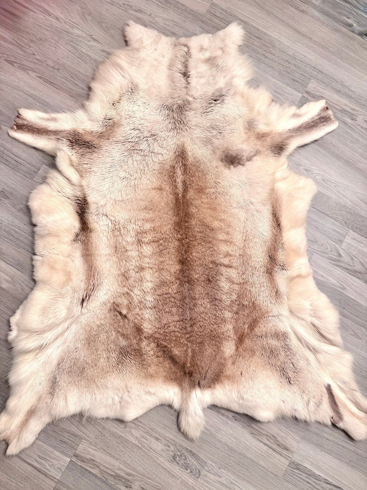 Natuurlijke rendierhuid wandtapijt groot Decoratie 125x105, Ophalen of Verzenden, Zo goed als nieuw