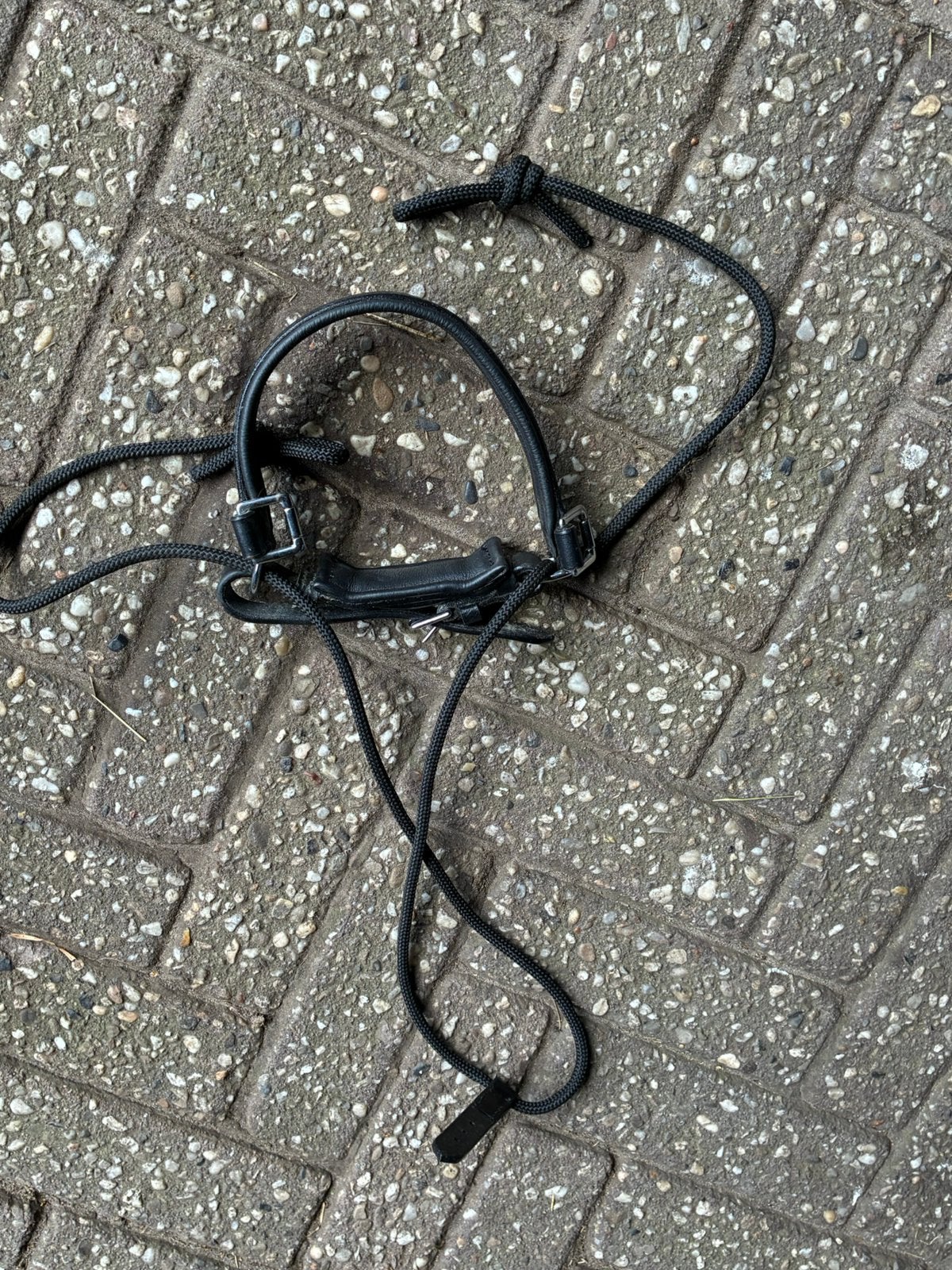 Neusriem bitloos Ideal menhoofdstel, Dieren en Toebehoren, Ophalen of Verzenden, Zo goed als nieuw, Hoofdstel