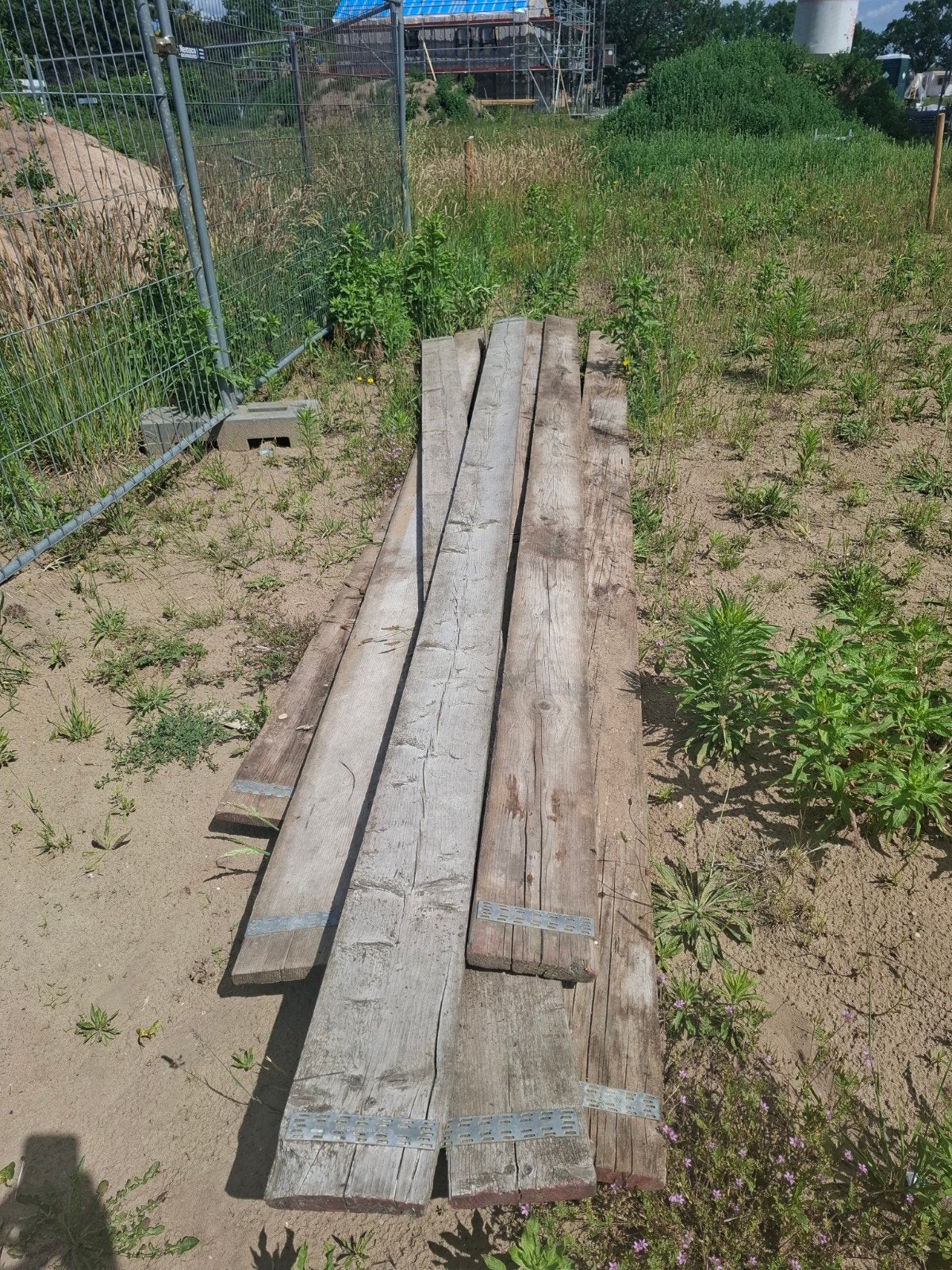 Steigerhout planken 8x 5 meter, Ophalen, Steigerhout, 25 tot 50 mm, Plank
