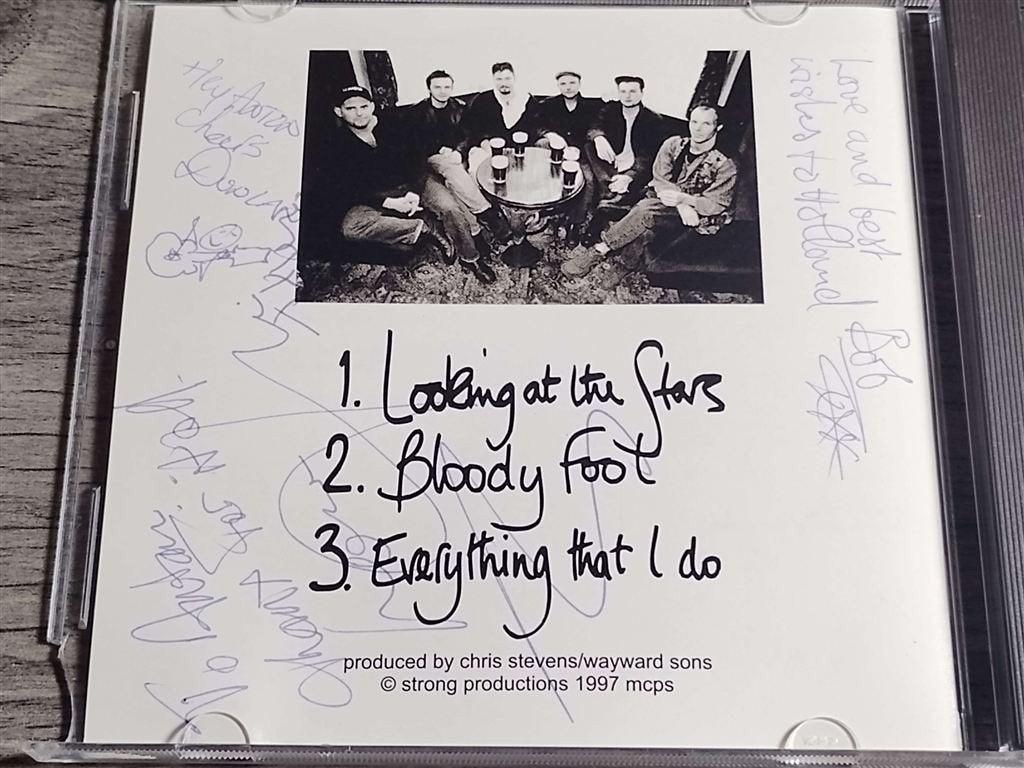 The Wayward Sons - Looking at the Stars [Gesigneerd], Cd's en Dvd's, Cd's | Rock, Ophalen of Verzenden, Zo goed als nieuw, Poprock