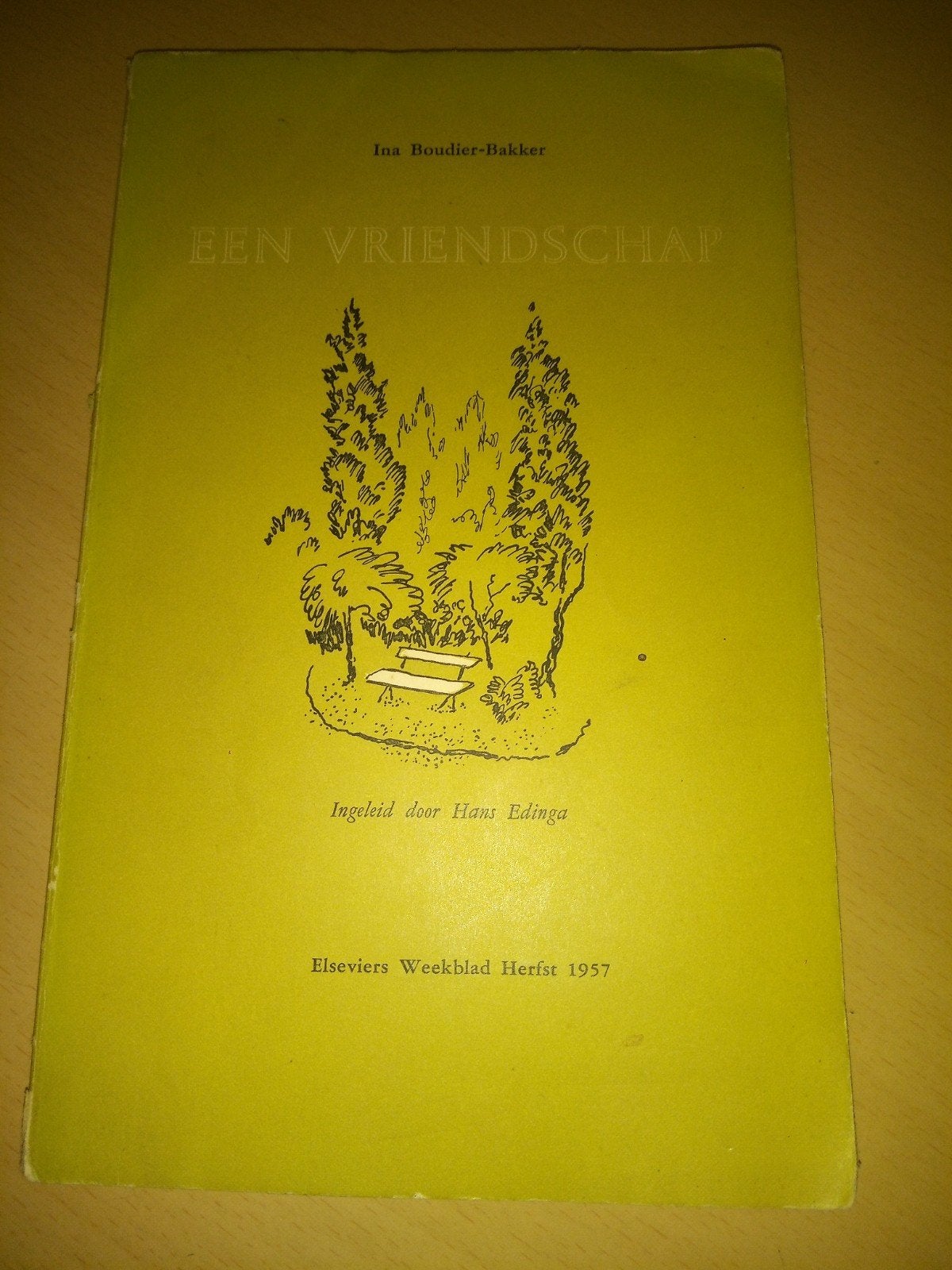Een Vriendschap - Ina Boudier-Bakker (1957), Verzenden, Gelezen, Ina Boudier-Bakker, Nederland