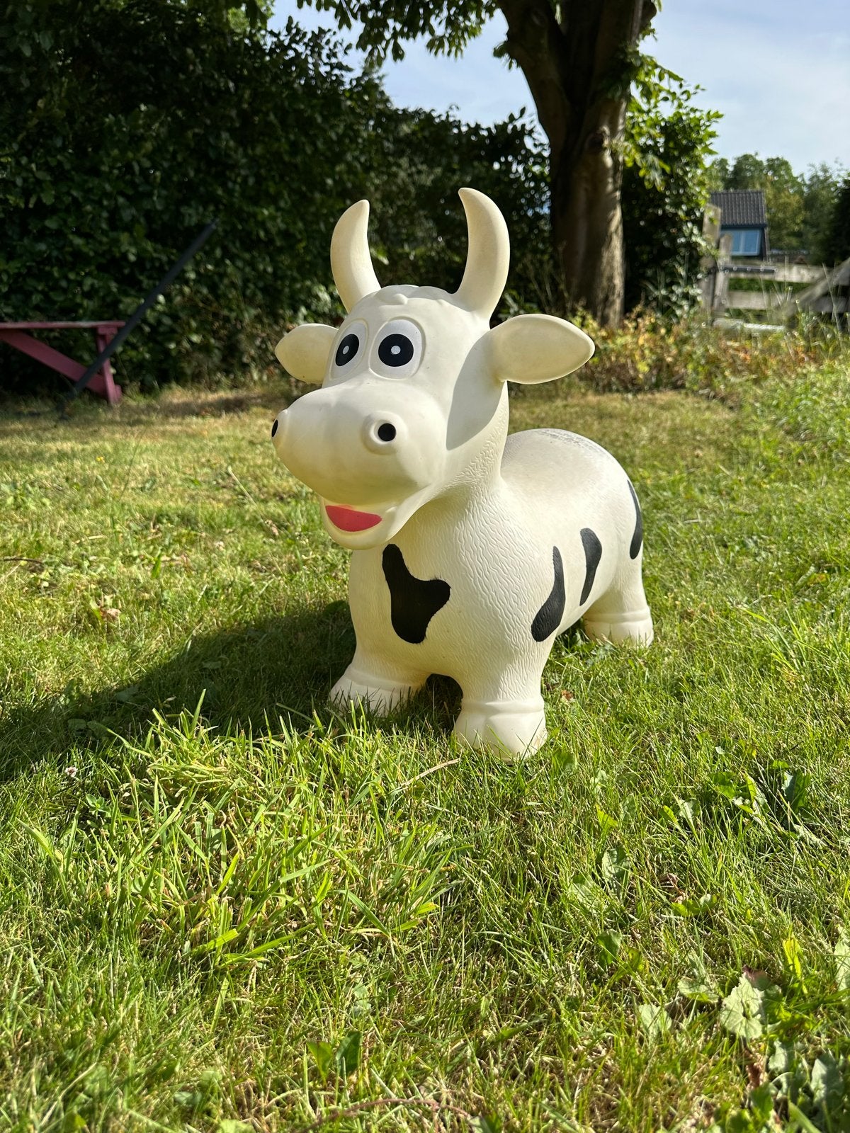 Opblaasbare Koe Springdier - Bouncy Koe voor Kinderen, Ophalen of Verzenden, Gebruikt, Jongen of Meisje