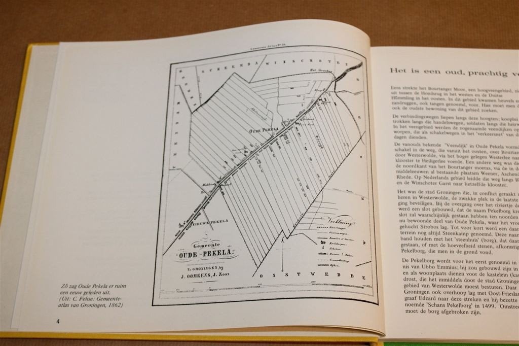 Oude Pekela — Jubileumboek 375 Jaar Gemeente 1974, Boeken, Ophalen of Verzenden, Gelezen