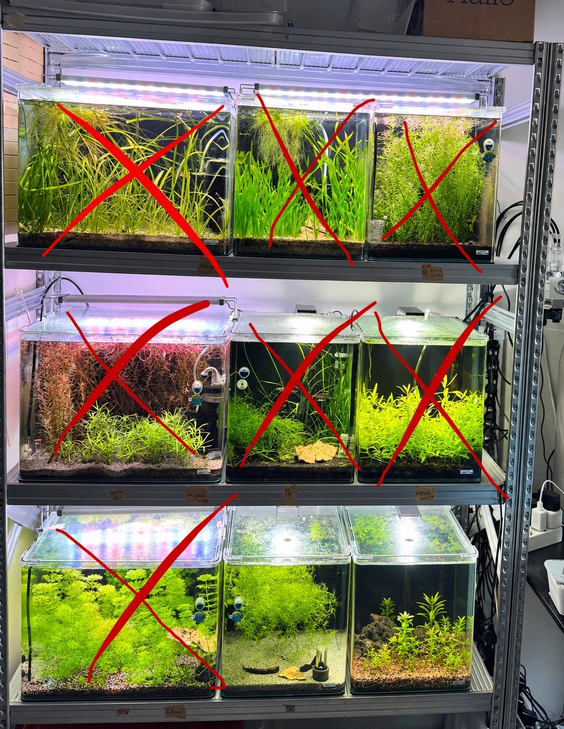 2x Dennerle complete aquariums te koop - stop met de hobby, Ophalen, Dennerle, Zo goed als nieuw, Leeg aquarium