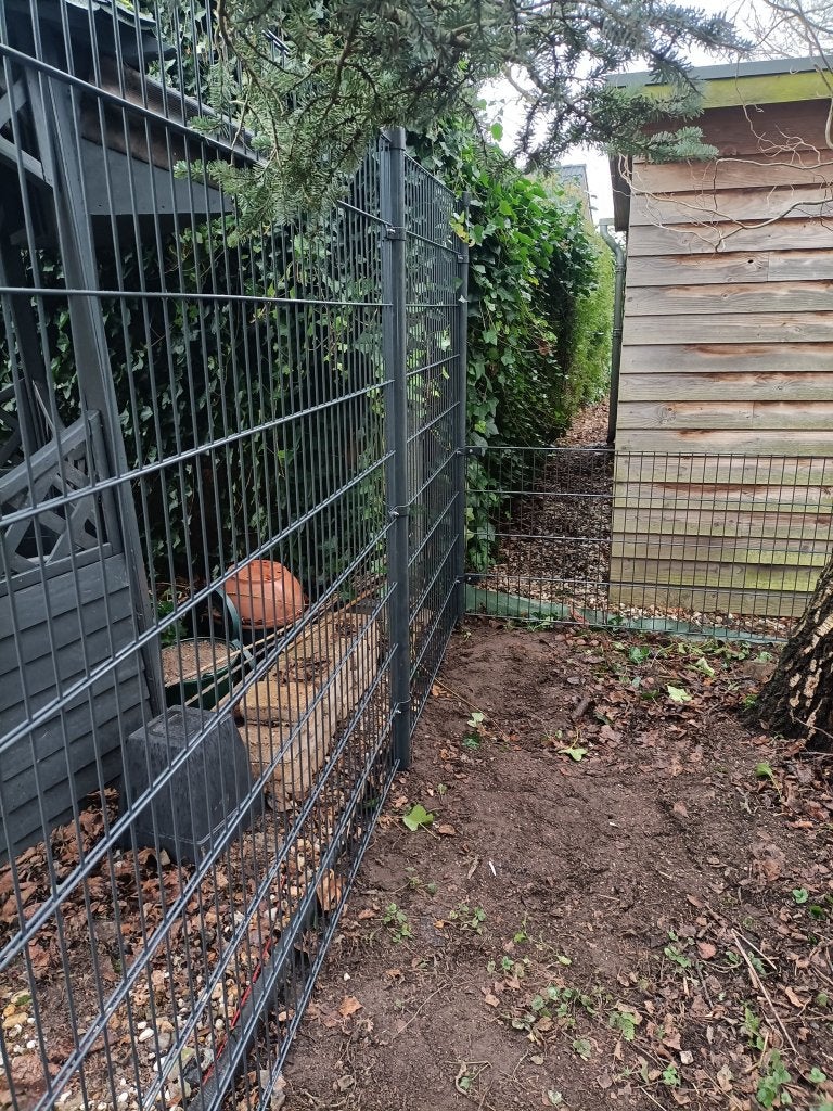 20 meter 656 dubbelstaafmat - 183cm + Poort B-keus GRIJS, Met poort, Nieuw, Dubbelstaafmat hekwerk, Ophalen of Verzenden